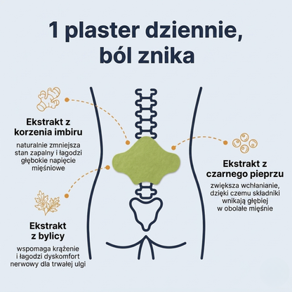 Plastry łagodzące ból pleców, rwę kulszową, kolana, barki